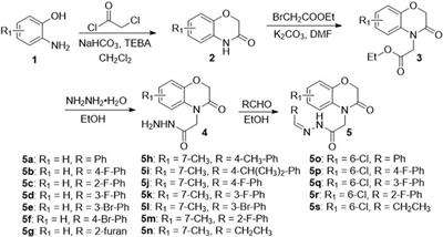 Design, synthesis and antifungal activity of novel 1,4-benzoxazin-3-one derivatives containing an acylhydrazone moiety